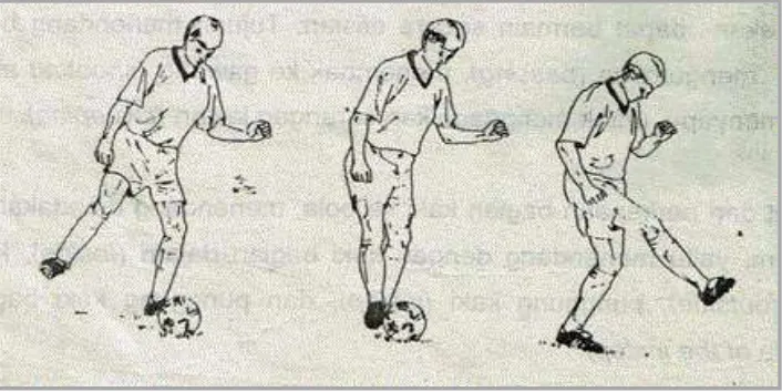 Gambar 2.1 Menendang dengan kaki bagian dalam (Sumber : Sucipto, dkk, 2000:18). 