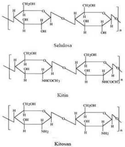 Gambar 2. Struktur kimia selulosa, kitin dan kitosan 