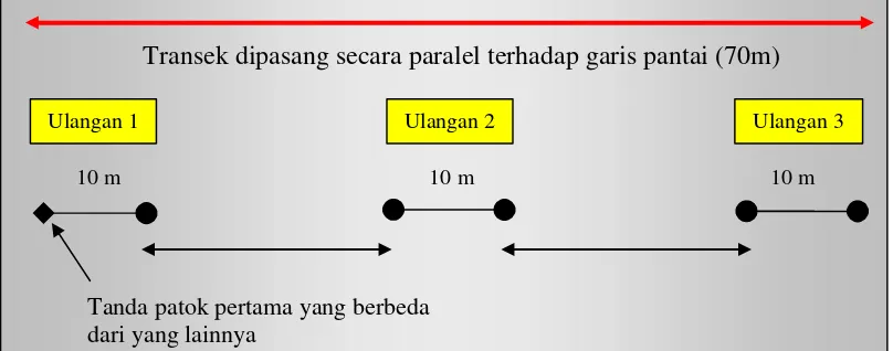 Gambar 4  Teknik Pengamatan  Line Intercept Transect (LIT). 