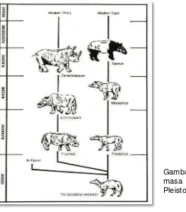 Gambar 1 Evaluasi  badak dari 