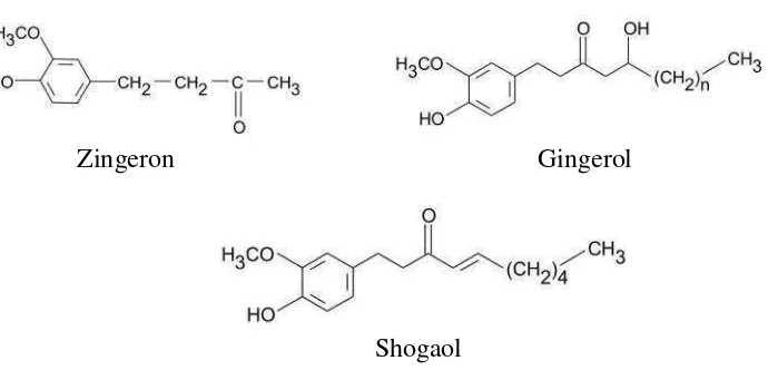 Gambar 2. Struktur Zingeron, Gingerol dan Shogaol (Kusumaningwati, 2009)