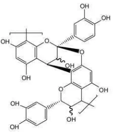 Gambar 4. Methylhydroxychalcone Polymer (MHCP) (Wei et al., 2011)