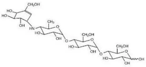 Gambar 7.  Struktur kimia Akarbosa ( Bayer, 2011)