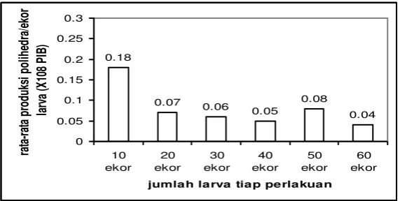 grafik rata-rata jumlah produksi polihedra/ekor larva yang dapat dilihat pada Gambar 1