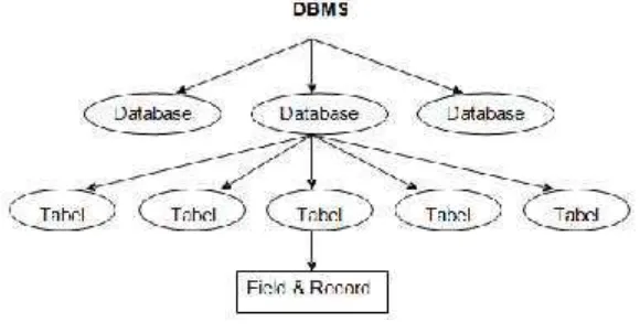 Gambar 1. 4 Hirarki DBMS