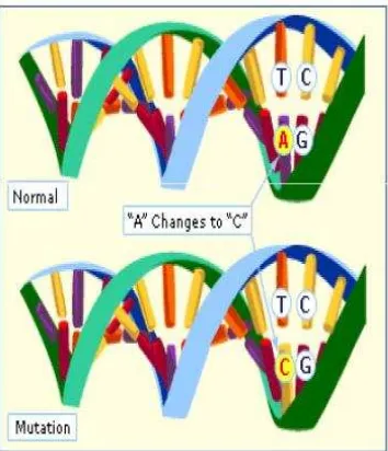 Gambar 7. Mutasi adalah perubahan basa nukleotida pada suatu gen 4 