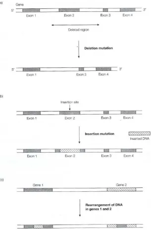 Gambar 12. a) Mutasi Delesi; b) Mutasi Insersi; c) Mutasi rearrangement  3 