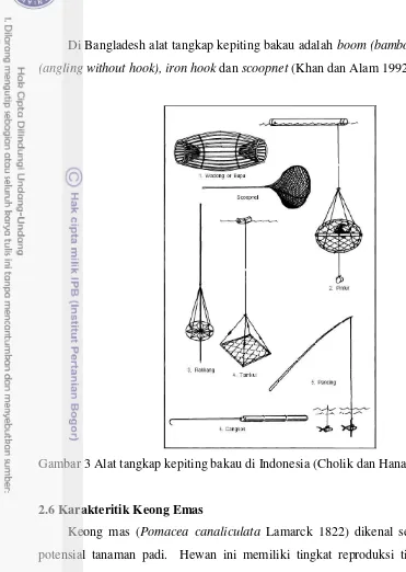 Gambar 3 Alat tangkap kepiting bakau di Indonesia (Cholik dan Hanafi 1992) 
