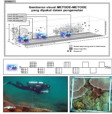 Gambar 11  Metode pepengambilan data karang dengan transek kuadradrat. 