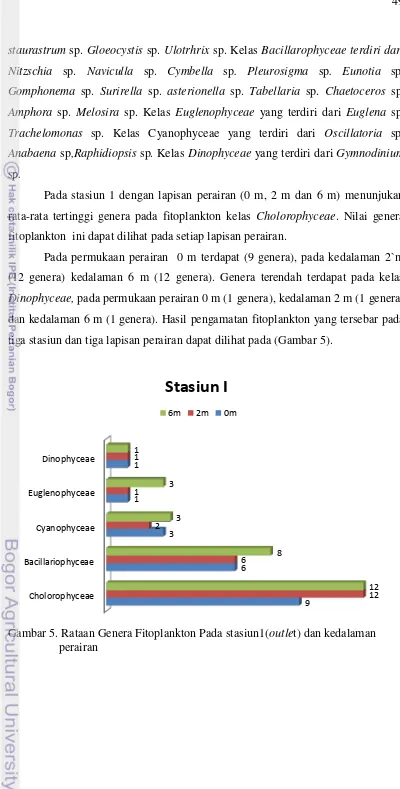 Gambar 5. Rataan Genera Fitoplankton Pada stasiun1(outlet) dan kedalaman 