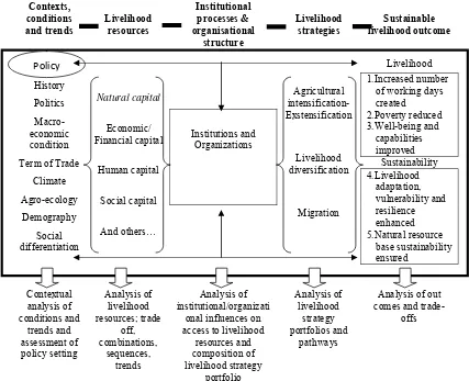 Gambar 2.2. Framework Strategi Nafkah 