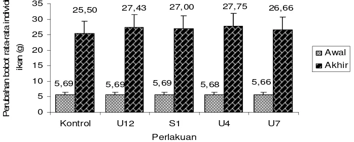 Gambar 9 Perubahan bobot rata-rata individu ikan jelawat (g) perlakuan  kontrol (tanpa probiotik), U12 (protease), S1 (lipase), U4 (amilase) dan U7 (protease, lipase dan amilase)