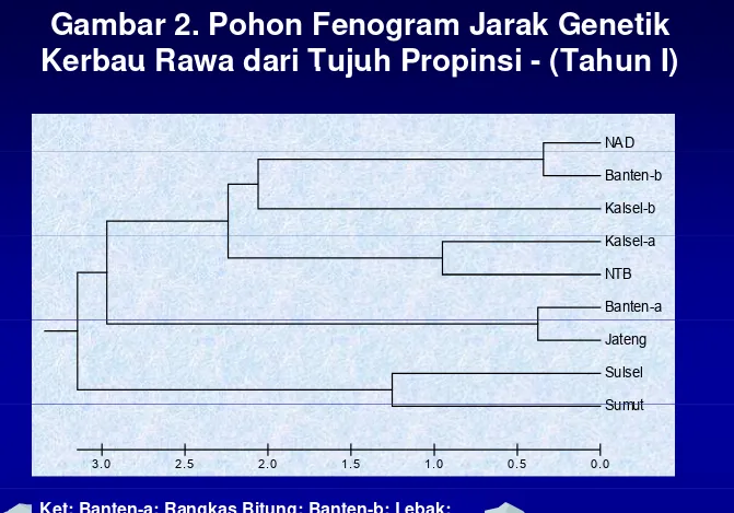 Gambar 2. Pohon Fenogram Jarak Genetik 