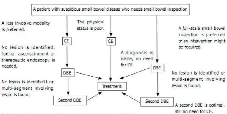 Gambar 1. Alur diagnostik CE diikuti DBE  
