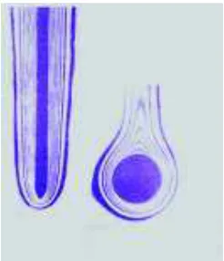 Gambar 5. Skema peralatan eksperimen 