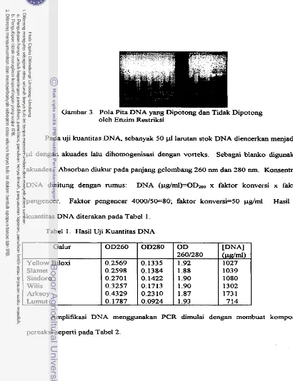 Gambar 3. Pola Pita DNA yang Dipotong dan Tidak Dipotong 