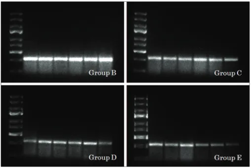 Figure 3: Densitometric estimation of group‑explanation see Materials and Methods. Line 1: DNA ladder NR2B in each group (c)