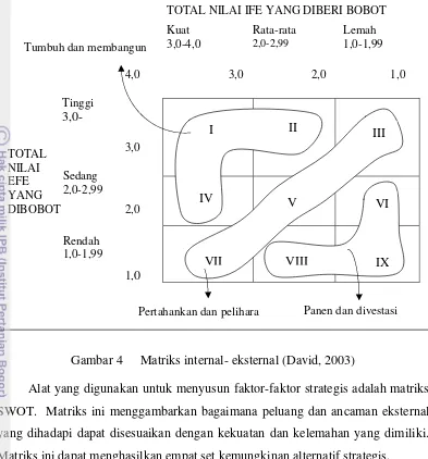 Gambar 4 Matriks internal- eksternal (David, 2003) 