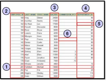 Gambar 1. 5 Record pada Tabel EMPLOYEES 