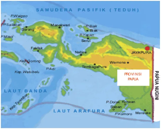 Gambar 9.   Peta Provinsi Papua  