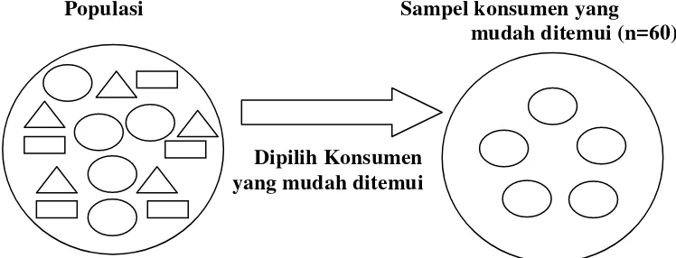 Gambar 6. Tehnik Penarikan Sampel Convinience Sampling 