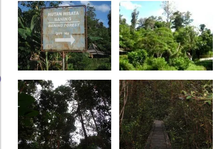 Gambar 5. Hutan Baning sebagai hutan kota dan hutan wisata di Kota Sintang 