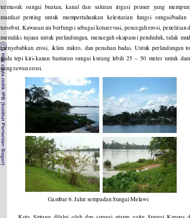 Gambar 6. Jalur sempadan Sungai Melawi 
