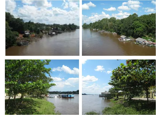 Gambar 7. Jalur sempadan Sungai Kapuas 