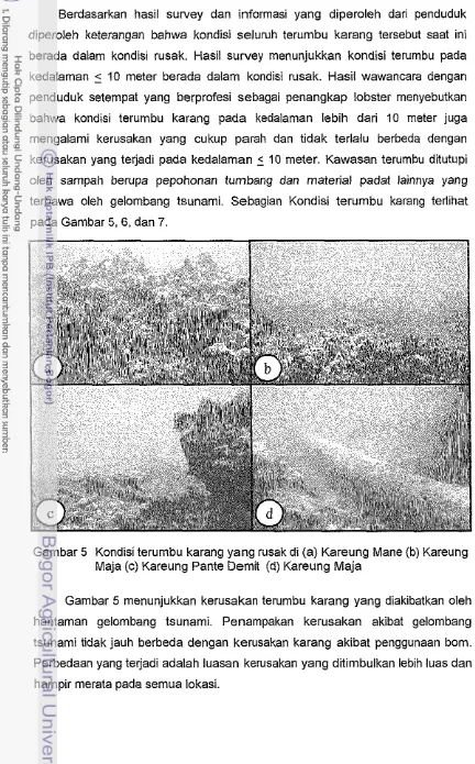 Gambar 5 Kondisi terumbu karang yang rusak di (a) Kareung Mane (b) Kareung 