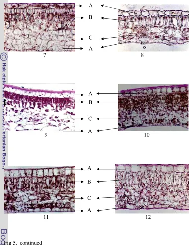 Fig 5.  continued
