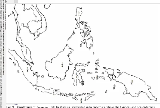 Fig. 9. Density map of Popowia Endl. In Malesia, segregated in to endemics (above the hyphen) and non endemics