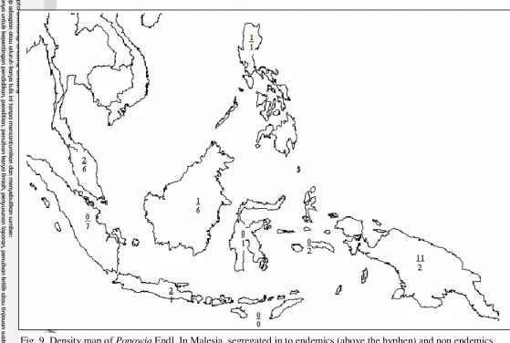 Fig. 9. Density map of Popowia Endl. In Malesia, segregated in to endemics (above the hyphen) and non endemics