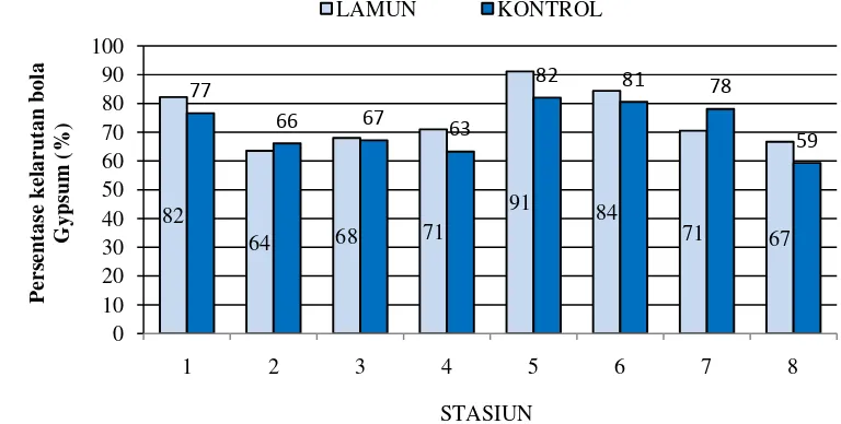 Gambar 15  Persentase pelarutan bola gypsum dalam kolom air (%). 