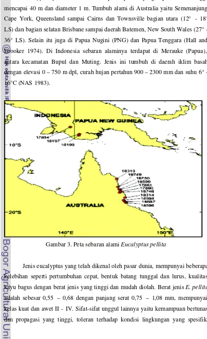 Gambar 3. Peta sebaran alami Eucalyptus pellita 