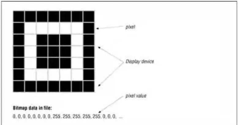 Gambar 1. 2Data Bitmap
