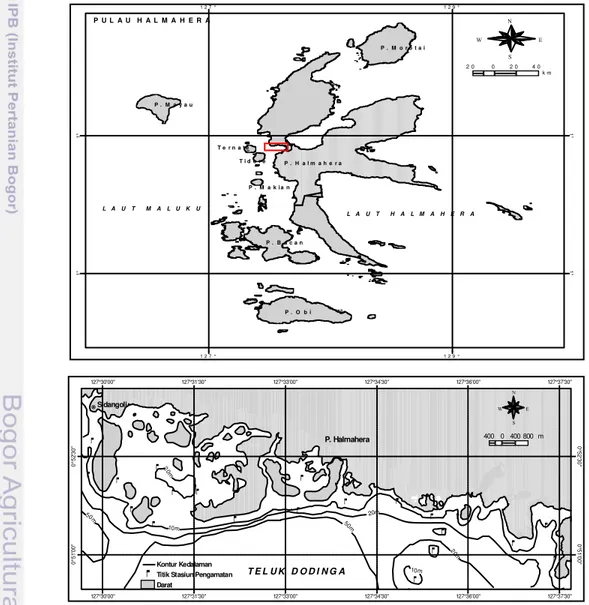 Gambar 2  Peta Lokasi  Penelitian. P U L A U   H A L M A H E R AL   A   U   T       M   A   L   U   K   U L   A   U   T       H   A   L   M   A   H   E   R   AT e r n a t e#YT i d o r eP 