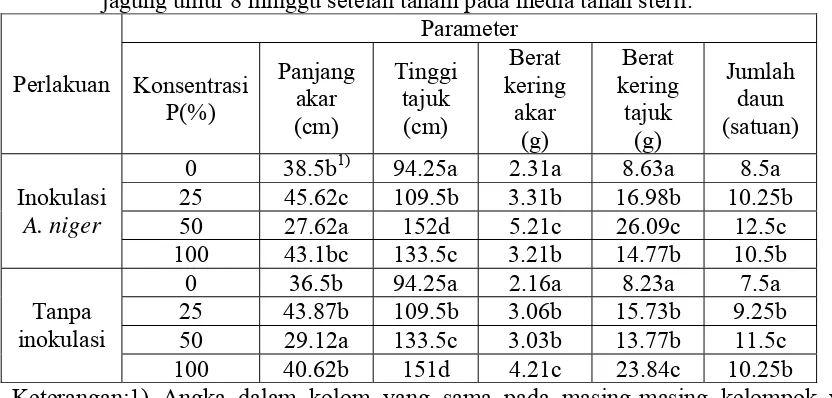 Tabel 4. Pengaruh  inokulasi A . niger dan perlakuan  P terhadap pertumbuhan  tanaman jagung umur 8 minggu setelah tanam pada media tanah steril