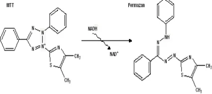 Tabel 1–fraksi kloroform dan fraksi etil asetat tanaman angulata, Nilai IC50  ekstrsk etanol, fraksi petroleum eter, Physalis L  