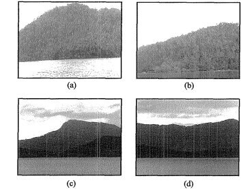 Figure 5 Picture of waters location at each study sites: (a) site 1 (ST-I); (b) site 2 