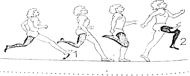 Gambar 1. Ilustrasi Tumpuan Lompat Jauh Gaya Jongkok    (International Amateur Athletic Federation, 2000 : 37) 
