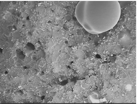 Figure 2: This picture showed little porosities in largediameter  beads.  It  was  evaluated  in  80  timesmagnification at 2.0 KV