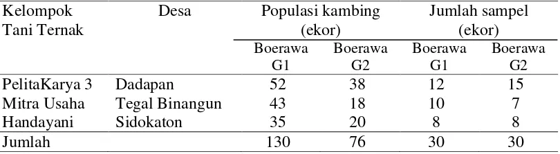 Tabel 2. Jumlah sampel pengamatan Kambing Boerawa G1 dan G2 