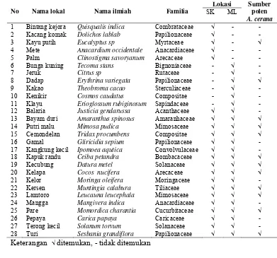 Tabel  4  Jenis tumbuhan yang berbunga di sekitar sarang A. cerana