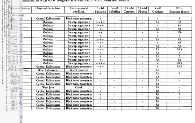 Table 1. The ability of anoxygenic photosynthetic bacteria to grow in monocyclic aromatic compound in anaerobic condition 