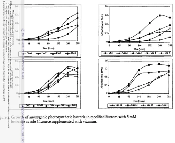 Figure 2. Growth of anoxygenic photosynthetic bacteria in modified Sistrom with 5 mM 