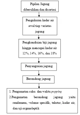Gambar 11. Diagram alir prosedur penelitian 