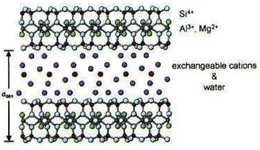 Gambar 1.  Struktur mineral liat mengembang-mengkerut tipe 2 : 1 montmorillonit dengan ruang antarlapisan berisi kation dapat dipertukarkan dan molekul-molekul air 