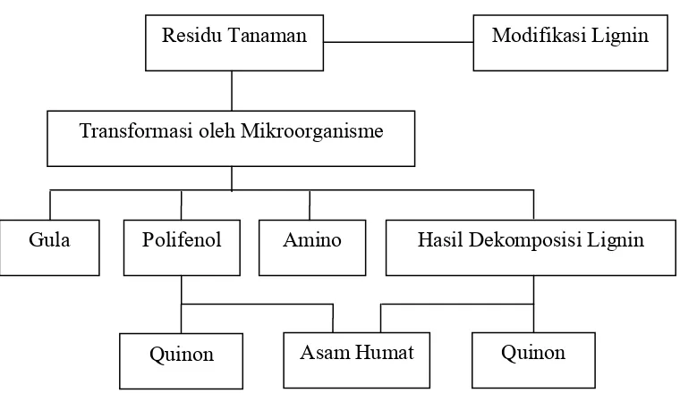 Gambar 2. Mekanisme pembentukan asam humat (Tan, 1993) 