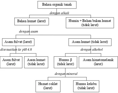 Gambar 3.  Bagan alur pemisahan humat menjadi berbagai fraksi humat             