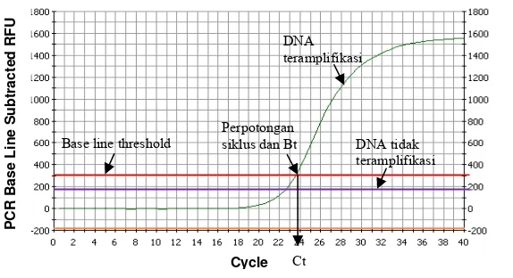 Gambar 2. Grafik sigmoidal proses amplifikasi dengan         real-time PCR (Edwards et al., 2004)  